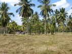 Land for Sale in Madampe, Chilaw