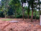 Land for Sale in Madampe Chilaw