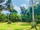 Land for Sale in Madamulla, Minuwangoda