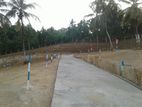 Land for Sale In Madana - Pinnawala Rd