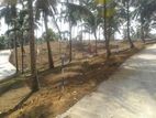 Land for sale in Madana (Rambukkana Rd)