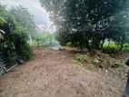 Land for Sale in Madapatha