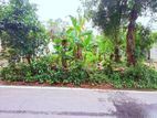 Land for Sale in Madapatha