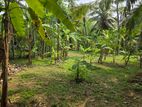 Land For Sale in Madawala Minuwangoda - Negombo UC
