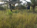 Land for Sale in Madurankuliya - Mahakumbukkadawala.