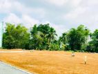 Land for Sale in Maduranwila