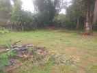 Land for Sale in Madurawala Mathugama Horana