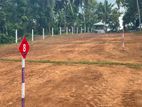 Land for Sale in Magammana