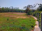 Land for Sale in Maggona Kalutara