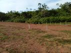 Land for sale in Maggona Kalutara