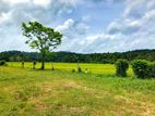 Land for Sale in Maggona (මග්ගොන)