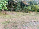 Land for Sale in Maguruvila Road, Gonavala, Kelaniya