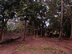 Land for sale in Mahabage (SSPL-124)
