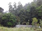 Land For Sale In Mahakanda