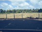 Land for Sale in Mahakubukkadawala