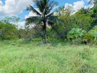 Land for Sale in Mahaoya, Ampara