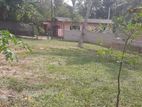 Land for Sale in Mahara, Kadawatha