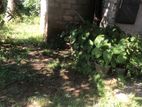 Land for Sale in Maharagama 14 P