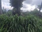 Land For Sale In Maharagama