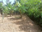 Land For Sale In Maharagama