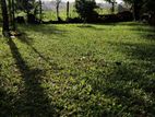 LAND FOR SALE IN MAHARAGAMA WITH HOUSE (SP930A)