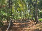 Land for Sale in Mahawatta Pamunugama