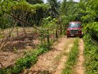 Land for Sale in Mahena ( Horana)