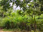 Land for Sale in Mahiyangana