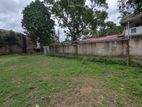 Land for Sale in Makola - CA 14592
