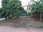 Land for Sale in Malabe