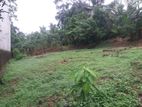 Land for Sale in Malabe