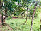 Land for Sale in Malabe