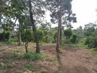 Land for Sale in Malabe
