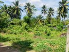 Land for Sale in Malabe