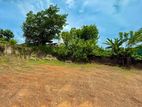 Land for Sale in Malabe