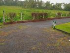 Land For Sale in Malabe Kahanthota Rd - Facing Paddy Field