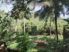 Land for Sale in Malabe (Near SLIIT Campus) 34 Perches