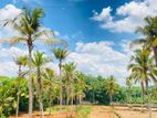 Land for Sale in Malagala
