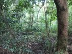 Land for sale in Maligathanna, Kandy