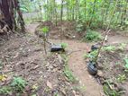 Land for sale in Maligathenna, Kandy