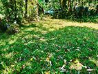 Land for Sale in Malkaduwawa