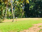 Land For Sale In Malpitiya