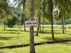 Land for Sale in Malsiripura