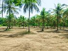 Land for Sale in Malsiripura L08