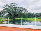 Land for Sale in Malsiripura M04