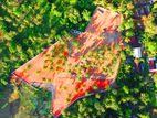 Land for Sale in Malsiripura M07