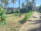 Land for Sale in Malwathuhiripitiya, M1027