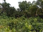 Land for Sale in Manampita