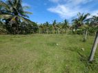Land for Sale in Mandawala