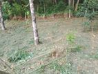 Land for sale in Manikhinna -Digana